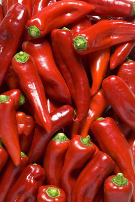 VibeX LX-47 - Long Green Chilli - (1350 Seeds) Seed(1350 per packet)