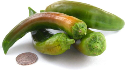 CYBEXIS HUA-48 - Sonora Mild Chilli - (1350 Seeds) Seed(1350 per packet)