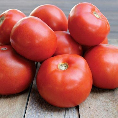 WILLVINE NBIR-356 Jamestown Red Tomato Seeds-2500 Seeds Seed(2500 per packet)