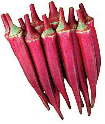 WILLVINE GUA-337 Okra Bhindi Red Exotic Seeds -200 Seeds Seed(200 per packet)
