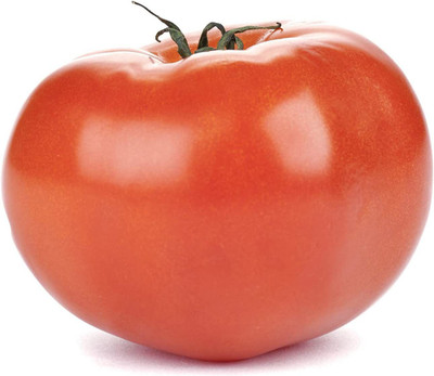 WILLVINE PAU-655 Beefsteak Tomato Seeds-1000 Seeds Seed(1000 per packet)