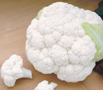 CYBEXIS XLR-57 - Snowball Cauliflower - (1350 Seeds) Seed(1350 per packet)