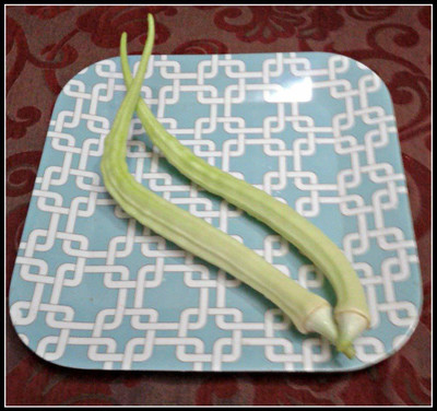 CYBEXIS VXI-19 - Elephant Tusk Okra (Ladies Finger) - (1350 Seeds) Seed(1350 per packet)