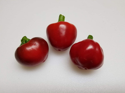 VibeX ® RXI-830 Calabrian Hot Pepper Chilli Seeds Seed(200 per packet)