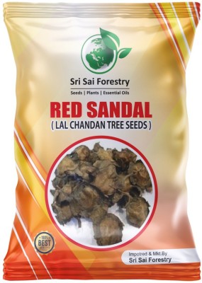 SRI SAI FORESTRY RED SANDALWOOD, LAL CHANDAN, RAKTA CHANDAN, Pterocarpus Santalinus (250 GRMS) Seed(400 per packet)