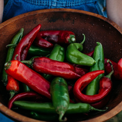 WILLVINE TLX-524 Big Jim Pepper (Hatch Green Chilli) Seed(200 per packet)