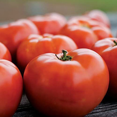 Biosnyg ®PUA-360 Legacy Tomato Seed(200 per packet)