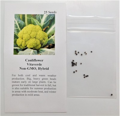 VibeX ® VLR-131 Hybrid Seeds Cauliflower Vitaverde(Green) Seed(200 per packet)