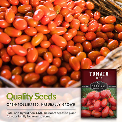 CYBEXIS XLL-1 - Roma Tomato - (150 Seeds) Seed(150 per packet)