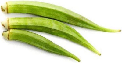 VibeX ® VMR-595 Perkins Long Pod Okra Seeds Seed(100 per packet)