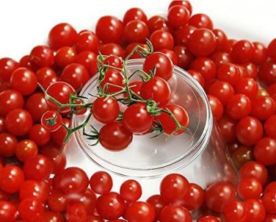 VibeX ® VLR-69 Sweet Pea Currant Tomato Seeds Seed(200 per packet)