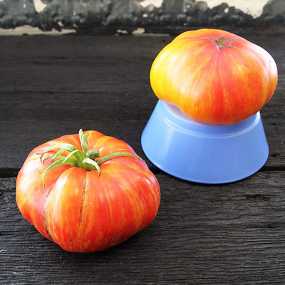WILLVINE XLR-686 Organic Mr. Stripey Tomato Seeds Seed(200 per packet)