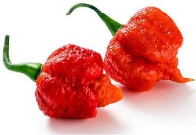 VibeX ® XXL-502 Carolina Reaper Chilli Pepper Seed Seed(200 per packet)