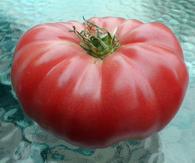 Biosnyg ®HUA-582 Beefsteak Tomato Non-GMO Seed(200 per packet)