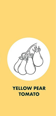 WILLVINE XLL-460 Hybrid Yellow Pear Tomato Seed(200 per packet)