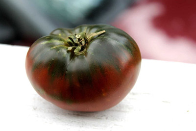 VibeX XLR-91 - Tomato Black Large Russian - (1350 Seeds) Seed(1350 per packet)
