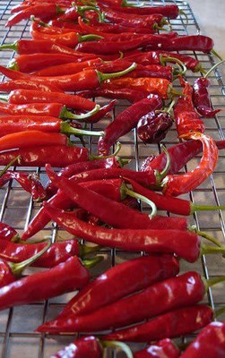 VibeX ® VMR-827 Thai Gong Bao Dragon Pepper Chilli Seeds Seed(200 per packet)