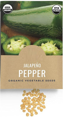 CYBEXIS GBPUT-95 - Jalapeno Pepper Chilli - (1350 Seeds) Seed(1350 per packet)