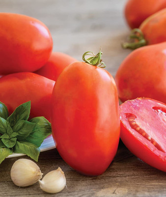 CYBEXIS ATS-50 - Gladiator Red Roma Tomato - (1350 Seeds) Seed(1350 per packet)