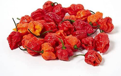 Biosnyg ™VAR-47 Carolina Reaper Chilli Seed(200 per packet)