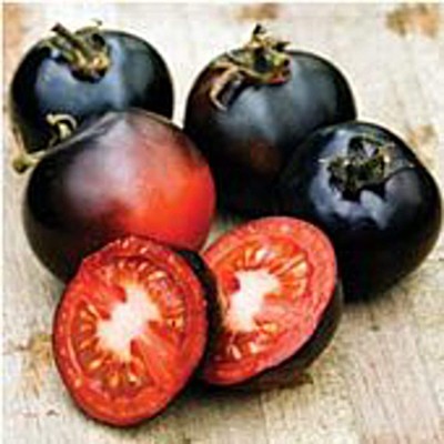 Biosnyg ®PUA-380 Indigo Rose Tomato Seed(200 per packet)