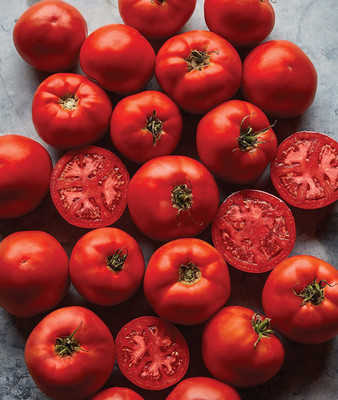CYBEXIS NDIR-85 - Big Boy Large Slicing Red Tomato - (1350 Seeds) Seed(1350 per packet)
