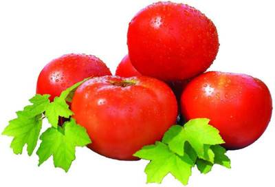 Biosnyg ®HUA-362 Whopper CR Improved Hybrid Tomato Seed(200 per packet)