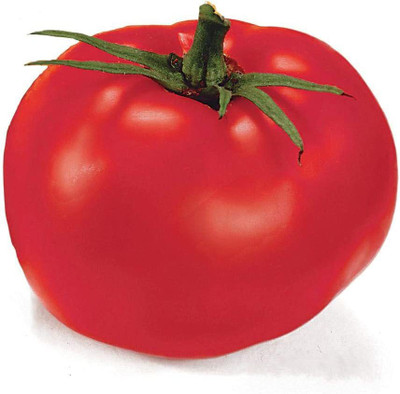 WILLVINE NBIR-333 Better Boy Hybrid-2500 Seeds Seed(2500 per packet)