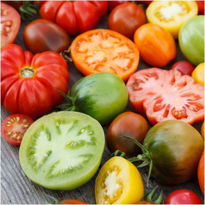 WILLVINE LX-761 Tomato Seeds Rainbow Blend Seed(200 per packet)