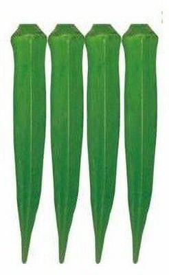 CYBEXIS HUA-99 - Okra Ladies Finger - (1350 Seeds) Seed(1350 per packet)