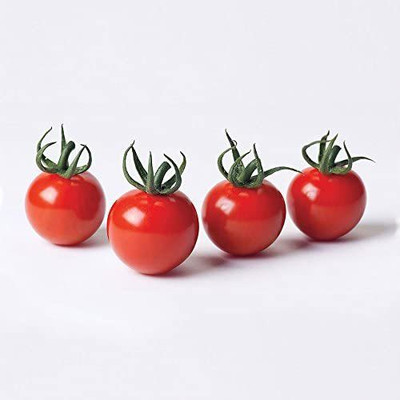 WILLVINE NBIR-540 Braveheart Hybrid Cherry Tomato Seeds-2500 Seeds Seed(2500 per packet)