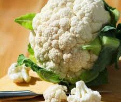 CYBEXIS NBIR-59 - Cauliflower Self Blanche Great - (1350 Seeds) Seed(1350 per packet)