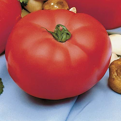 VibeX ® RXI-332 Beefmaster Hybrid Tomato Seeds Seed(200 per packet)
