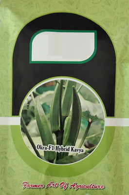 CYBEXIS VVI-55 - Okra Ladies Finger - (1350 Seeds) Seed(1350 per packet)