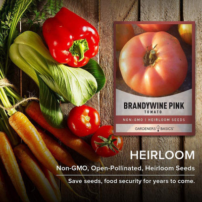 WILLVINE LX-315 Brandywine Pink Tomato Seeds-2500 Seeds Seed(2500 per packet)