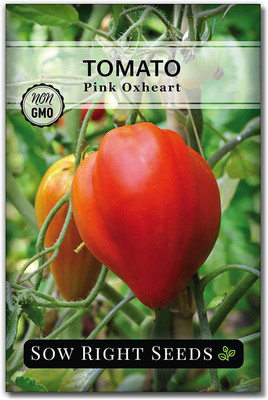VibeX LXI-39 - Oxheart Pink Tomato - (150 Seeds) Seed(150 per packet)