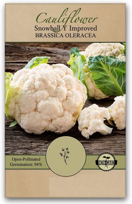 CYBEXIS XLL-52 - Cauliflower Snowball Y Improved - (1350 Seeds) Seed(1350 per packet)