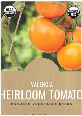 CYBEXIS VXI-36 - Hybrid Valencia Tomato - (150 Seeds) Seed(150 per packet)