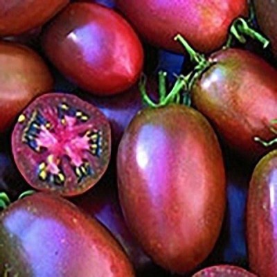 VibeX ® VMR-532 Ukrainian Purple Tomato Seeds Seed(200 per packet)