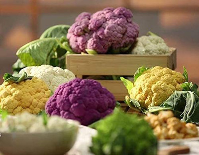 VibeX NBIR-93 - 4 Varieties Purple Green Yellow Cauliflower - (1350 Seeds) Seed(1350 per packet)