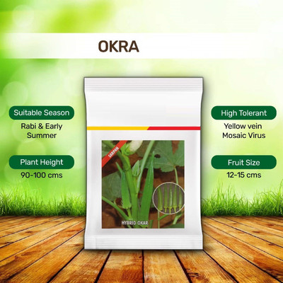 CYBEXIS ATS-67 - Hybrid F1 Okra - Bhendi - (150 Seeds) Seed(150 per packet)