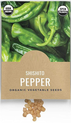 CYBEXIS TLX-92 - Shishito Chilli - (1350 Seeds) Seed(1350 per packet)