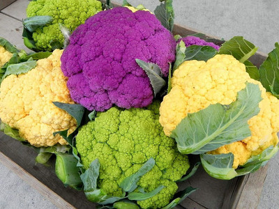 VibeX VVI-4 - Colorful Cauliflower Mix of 5 Varieties - (1350 Seeds) Seed(1350 per packet)