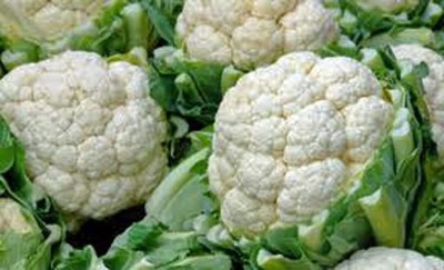 CYBEXIS GBPUT-10 - Snowball Y Cauliflower Non GMO - (1350 Seeds) Seed(1350 per packet)