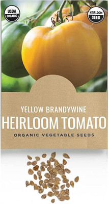 CYBEXIS PUAS-26 - Yellow Brandywine Tomato - (150 Seeds) Seed(150 per packet)