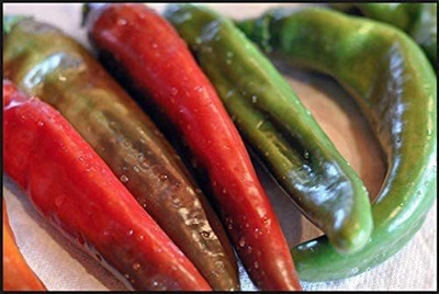 CYBEXIS VVI-4 - Anaheim Chilli - (1350 Seeds) Seed(1350 per packet)