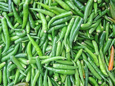 VibeX ® VXI-916 KOREAN DARK GREEN Hot Chilli Seed(200 per packet)