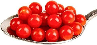 Biosnyg ™SBN-585 Teaspoon Tomato Seed(200 per packet)