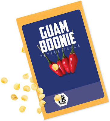 VibeX ® XLR-576 Guam Boonie Seeds Rare Hot Chilli Seed(200 per packet)