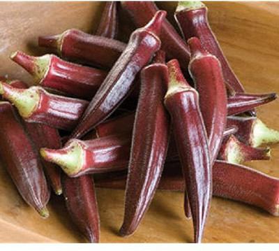 VibeX ® VLR-356 Red Okra (Bhendi) F1 Hybrid Varienty Seed(100 per packet)
